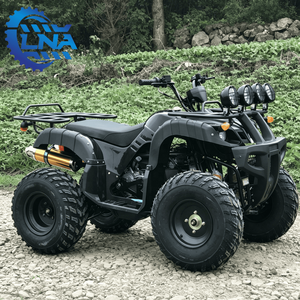 Kit de carrosserie pour <span class=keywords><strong>quad</strong></span> ATV certifié LNA CE 250cc <span class=keywords><strong>homologué</strong></span> CE pour les sentiers de montagne - Product Image 6