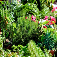 Marqueur de plantes en aluminium en forme de T pour jardin extérieur, couleur blanche, étiquette toutes saisons, personnalisable