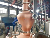 Alambic en cuivre clé en main 500L avec colonne de distillation pour distillerie artisanale
