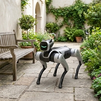 Robot chien de patrouille intelligent MagicLabs MagicDog-W Orin NX 163 TOPS 4G WiFi à perception multicaméras et SDK ouvert, en stock