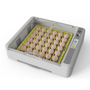 Wonegg 110V 220V hoàn toàn tự động gà trứng lồng ấp cho trứng gà lôi tiết kiệm năng lượng cho sử dụng nhà Nở trứng - Product Image 5