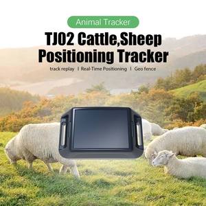 TJ02 Nova Atualização 20000mAh Longa Vida da Bateria Anti Roubo Perdido GPS em Tempo Real 4G Tracker Gado Ovelha Cavalo Animal Android - Product Image 5