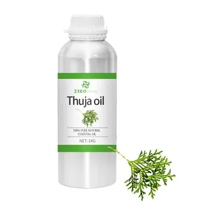 Thuja olio essenziale approvato GMP acquista olio essenziale puro al 100% per prodotti per la cura della bellezza a un prezzo ragionevole