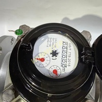 Compteur d'eau Woltman sans contamination DN50-DN300 en acier inoxydable 304 IP68 à bride OEM pour système d'eau purifiée