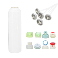 Bouteilles aérosols en aluminium vides durables, capacité personnalisable 200 ml 250 ml, pour laque capillaire, mousse et gel douche