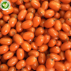 IQF Органические дикие желтые фрукты с облепихой ягоды сладкие золотисто-оранжевые морские замороженные фрукты - Product Image 2