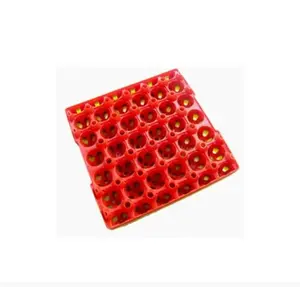 Plastic injection refrigerator storage tray 30 eggs plastic egg tray mould