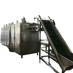 Dehydrating Mango Fruit And Vegetable Drying Dehydration Mesh Belt Dryer Machine From Kruger Rango