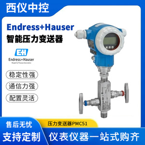 Transmetteur de pression numérique Endress+Hauser PMC51 100 mbar à 40 bar en acier inoxydable IP65 pour liquides et gaz - Product Image 4