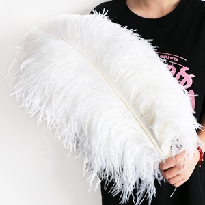 Vente en gros de grandes <span class=keywords><strong>plumes</strong></span> d'autruche <span class=keywords><strong>blanches</strong></span> pour décoration de mariage, artisanat, centre de table de fête de carnaval, motif teint - Product Image 4