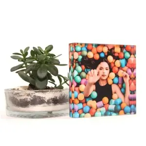Hersteller Fabriklieferant personalisierter individueller Acryl-Block Foto, Weihnachtsgeschenk, Valentinstagsgeschenk