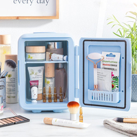 Réfrigérateurs mini-frigos thermoélectriques portables 12V pour cosmétiques, fournisseur