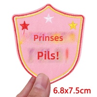 Patchs brodés thermocollants Oeteldonk pour le Carnaval des Pays-Bas, motif grenouille, pour vêtements, uniformes, chapeaux, badges à coudre, DIY, vente en gros