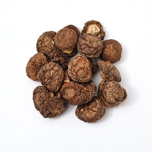 Số lượng lớn nấm <span class=keywords><strong>Shiitake</strong></span> khô Trung Quốc Đen Nông Sản - Product Image 4