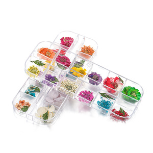 <b>Mixed</b> Dried Flowers <b>Box</b> 13x5Cm Craft Material Pack For Diy Home Decor Natural Real Flower Set - Product Image 1