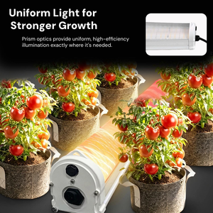 Lámpara LED de Cultivo de 4 Pies y 120W para Invernadero Interior, Horticultura, Espectro Rojo Profundo, Cuerpo de Aluminio, Clasificación IP65 para Floración - Product Image 5
