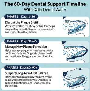 Additif buccal naturel OEM pour chiens, formule dentaire pour garder les dents propres et rafraîchir l'haleine des chiens, pour la santé bucco-dentaire des chiens - Product Image 2
