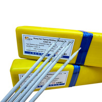 Barres de soudage en acier inoxydable duplex AWS A5.4, différents modèles, y compris E2594, E2209, E2205, E2507, E2553-16, E2594-17, E2209-17