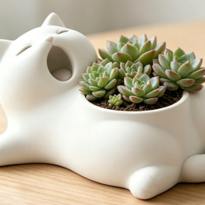 Yawn Cat Succulent Planter White Ceramic Desktop Ornament For Indoor Green Plants Modern Office Decoration - Product Image 3