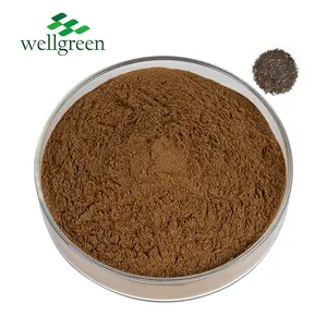 Free Sample 100% Pure Natural Plant Extract Black Tea Extract Powder Water Soluble Black Tea Powder