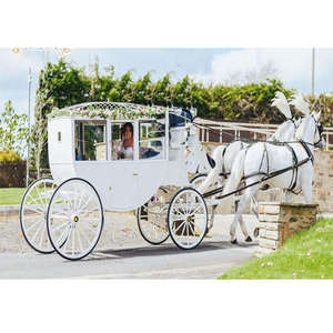 Carruaje de Lujo con Tracción de Caballos, Color Personalizado, Estilo Vintage, Cubierto, Tipo Limusina, con Materiales de Metal y Madera - Product Image 1