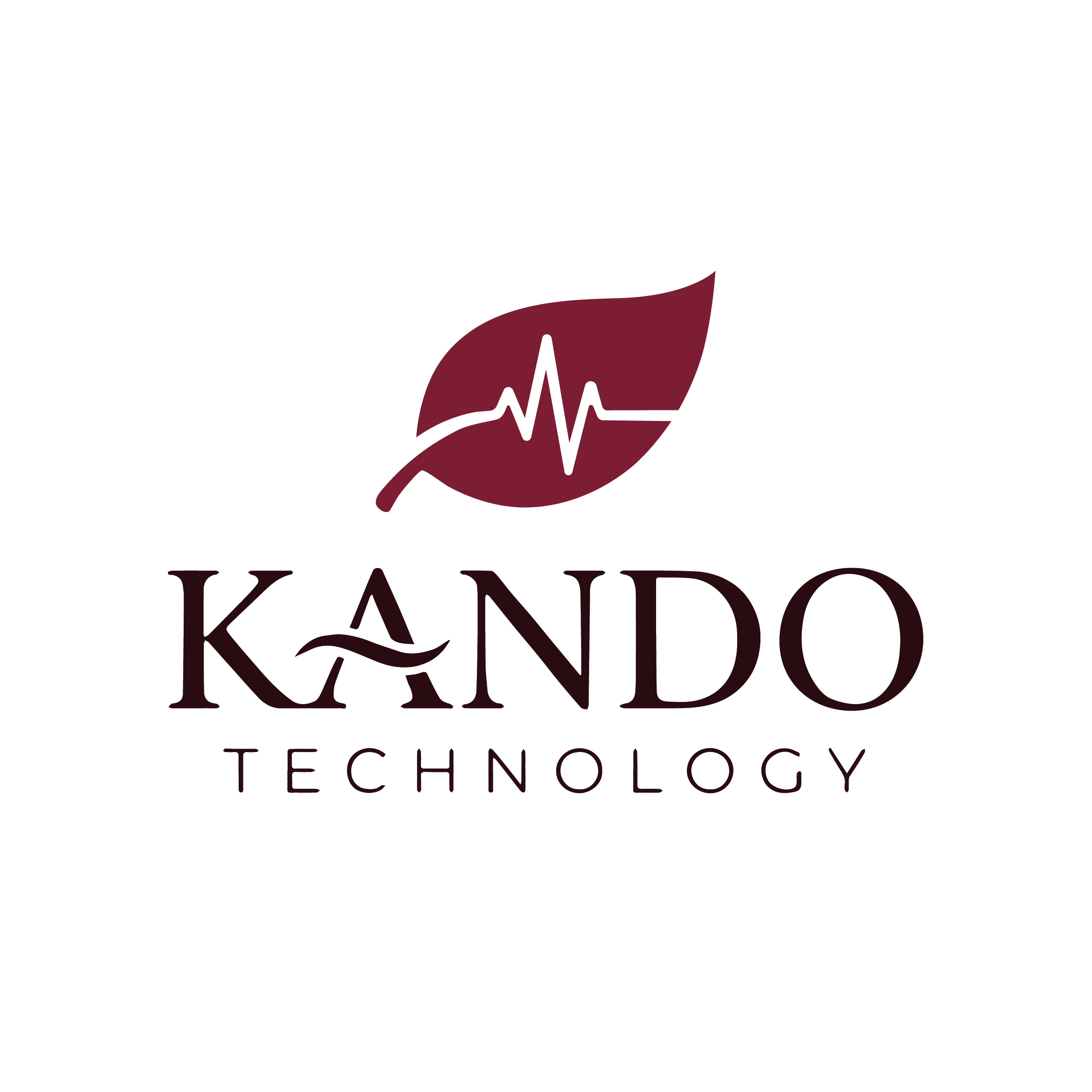 Shanghai Kando Technology Co., Ltd. logo