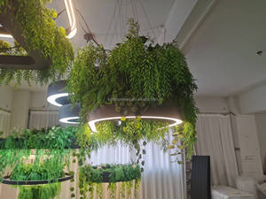 Jardinière suspendue avec lumière LED, boîte en <span class=keywords><strong>bois</strong></span> pour plantes, luminaire de culture pour la décoration de la maison et des cafés - Product Image 6