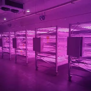 Sansi 50W di bawah kanopi spektrum penuh hortikultura komersial LED tumbuh Strip Bar cahaya untuk tanaman dalam ruangan, rumah kaca