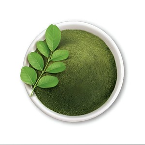 Extracto de hierba Indigofera Tinctoria orgánico más vendido, bolsa de proteína líquida de grado alimenticio, embalaje de polvo de hoja de parte cultivada salvaje - Product Image 1