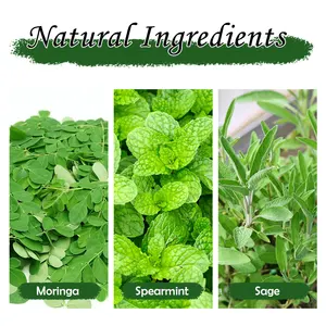 Private Label Malunggay Thee Kruidenthee Blends Organische Moringa Spearmint Salie Thee