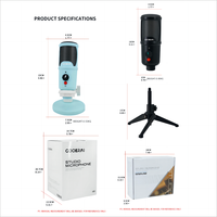 Microphone à condensateur professionnel de haute qualité vendu comme des petits pains équipement de studio d'enregistrement pour la diffusion en direct microphone de jeu