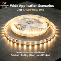 Bande LED flexible haute luminosité DC24V 176 LED/m SMD2835, température de couleur 3000K-6000K, éclairage paysager à corps en cuivre.