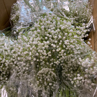 Bouquet de Fleurs Artificielles Gypsophile Souffle de Bébé, Fleurs Blanches en Gros pour Arrangements Floraux DIY
