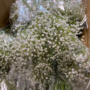 Bouquet di Fiori Artificiali Gypsophila, Fiori Bianchi di Gypsophila in Grandi Quantità per Composizioni Floreali Fai-da-Te - Product Image 4