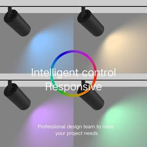 Smarte Magnetische Schienenleuchte Tunable White RGBW Zigbee Dali Licht 48V Dimmbare Stromschiene Matter Casambi Tuya Magnetisches Schienenlicht - Product Image 5