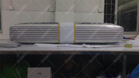 Modèle de publicité extérieure personnalisé en usine modèle gonflable de décoration en dollar américain