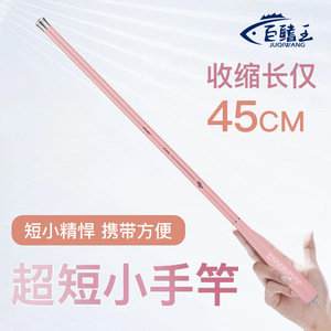 Childrens Fishing Rod Mini Carbon Fiber 2 Meter Stream Rod Extra Fast Action SIC Guides Freshwater Fish - Product Image 5