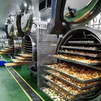 Tca Droog Freeze Machine Voor Fruit Vriesdroger Machine Lyophilizer