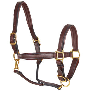 Correa de Cuero de Alta Calidad para Montar a Caballo, Equipo Ecuestre Profesional, Diseño Transpirable, Personalizable, Venta al Por Mayor OEM - Product Image 3