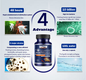 Koozym — capsules à bactéries <span class=keywords><strong>pour</strong></span> aquarium, filtre à <span class=keywords><strong>eau</strong></span> <span class=keywords><strong>pour</strong></span> poissons - Product Image 4