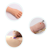 Kit de Entrenamiento de Venopunción Anatómica para Enfermeras, Modelo de Plástico PVC YULIN YLJ-410 Henan CE/ISO