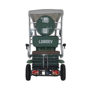 Pabrik Model baru desain Mini Golf Cart e-bike <span class=keywords><strong>4</strong></span> roda sepeda motor listrik dengan Panel surya atap - Product Image 3