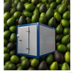 Cámara Frigorífica para Producción de Huevos <span class=keywords><strong>3x2</strong></span>, Congelador, Refrigerador, R134a, Refrigerador para Flores - Product Image 2