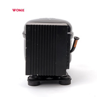 Compresseur de réfrigération WOMA DC 12V-24V ZH35G R134A