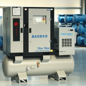 Compresseur d'air monophasé 220V 3kW à vis, écoénergétique, design compact pour ateliers, bricolage et petites entreprises - Product Image 1