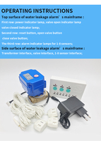 Détecteur de fuite de valve électrique vendu par le fabricant, facile à utiliser, structure à bille, matériau en acier inoxydable SS304/laiton, DN8-DN32, protection IP65
