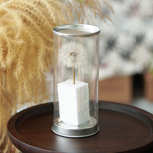 Fiori Eterni Conservati all'Ingrosso, Soffietti di Tarassaco per Composizioni Floreali e Decorazioni in Resina - Product Image 1