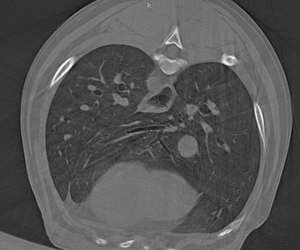 Instrumento Veterinario de la mejor calidad, máquina de escaneo PET <span class=keywords><strong>CT</strong></span>, sistema de escáner <span class=keywords><strong>CT</strong></span>, precio de escáner veterinario <span class=keywords><strong>CT</strong></span> para Hospital - Product Image 3