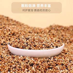 Alimento para pájaros de granos mixtos para periquitos, cacatúas, loros pequeños y medianos, cereal de mijo de cinco colores, alimento ecológico para mascotas - Product Image 4