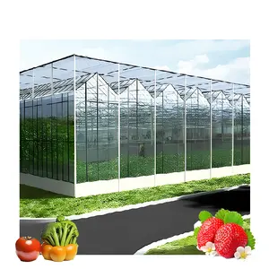Agricultural Commercial hydroponics Multi-Span Venlo Polycarbonate Farming PC Sheet sun panel Greenhouse